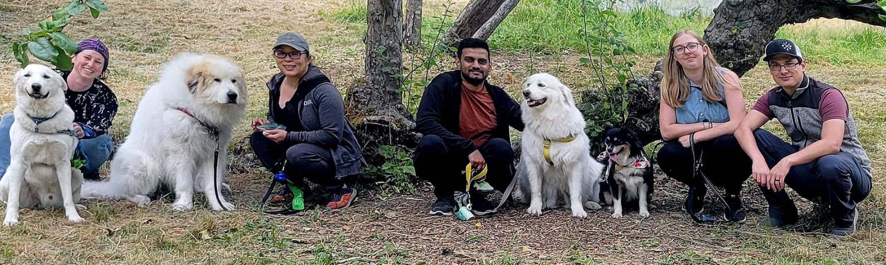 Pet Services businesses in the Pacific Northwest