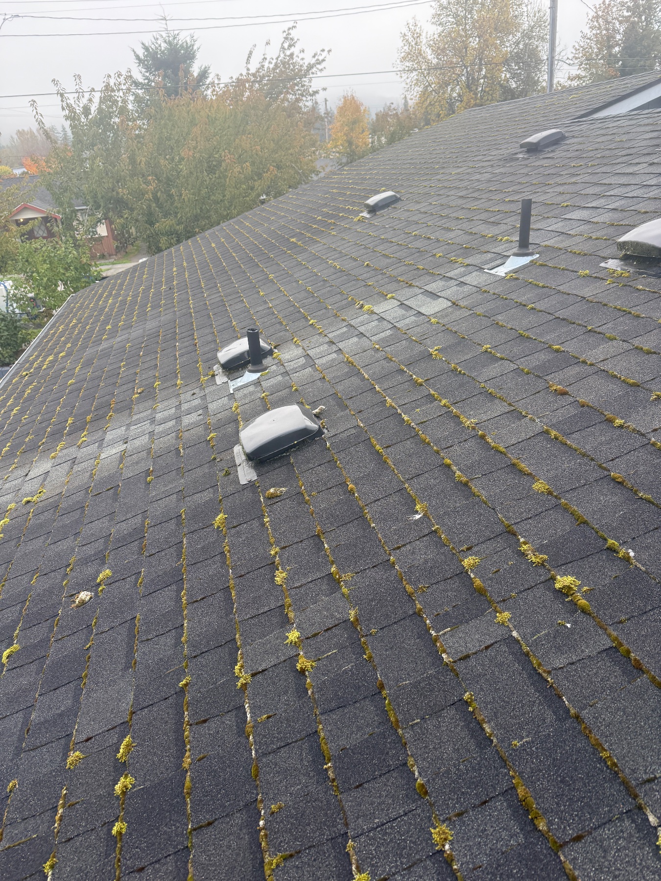 Finnish Exterior Solutions project photo 1