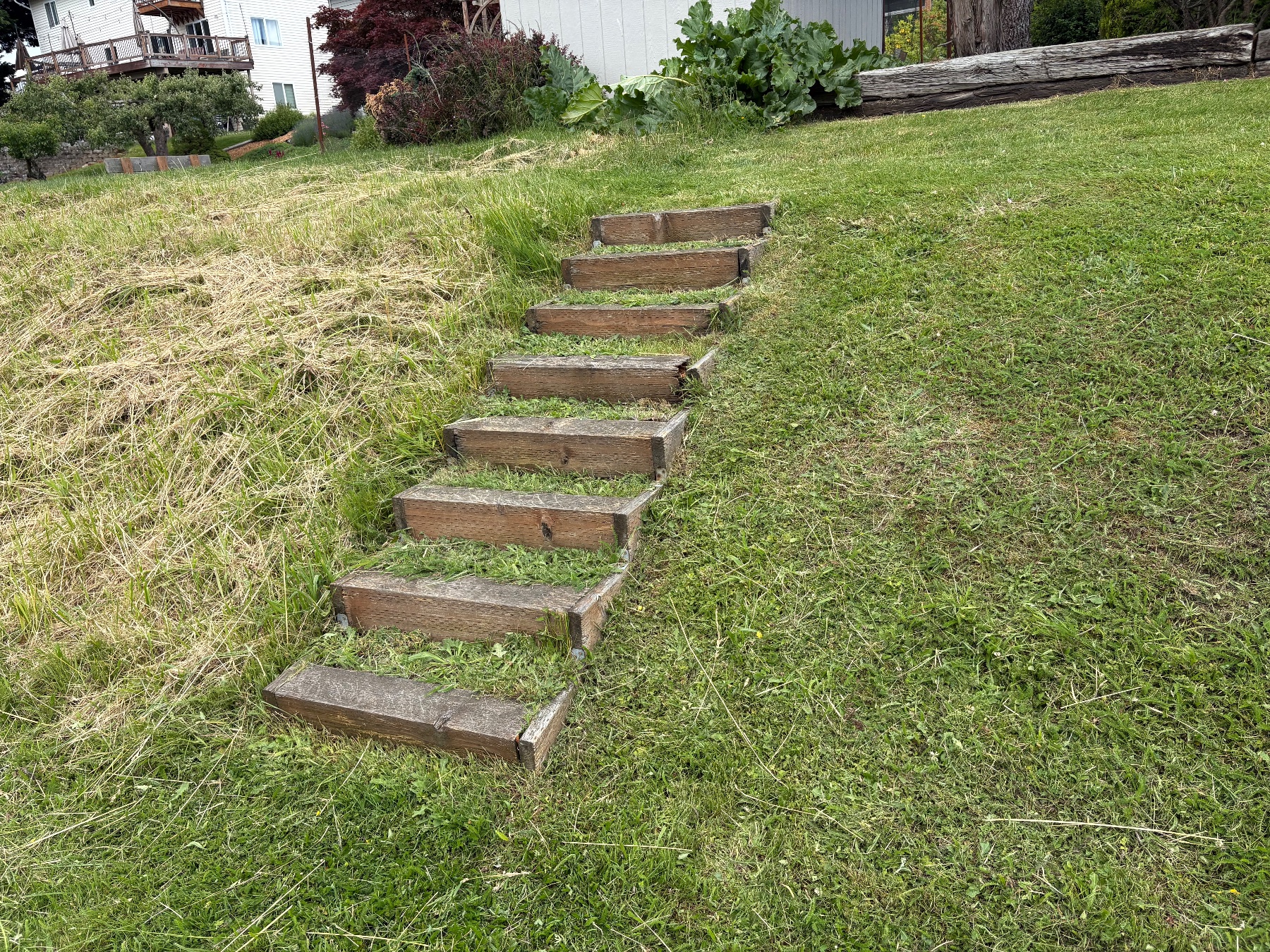 Rook’s Landscape & Handyman project photo 2