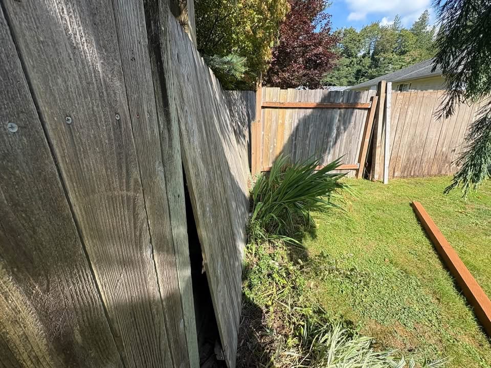 Rook’s Landscape & Handyman project photo 10