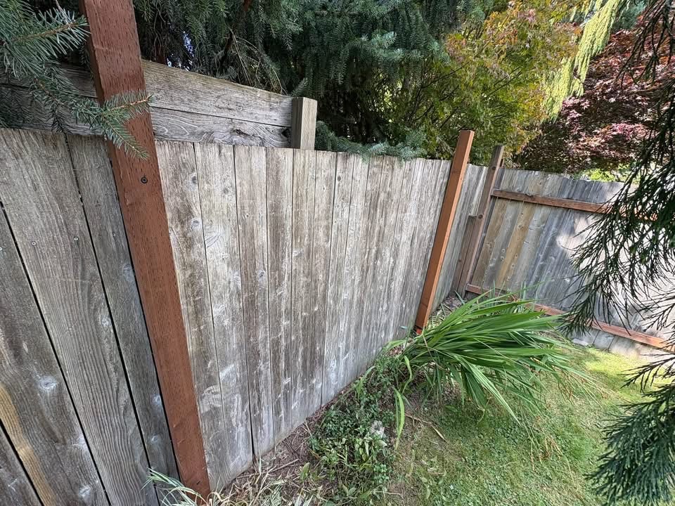 Rook’s Landscape & Handyman project photo 11
