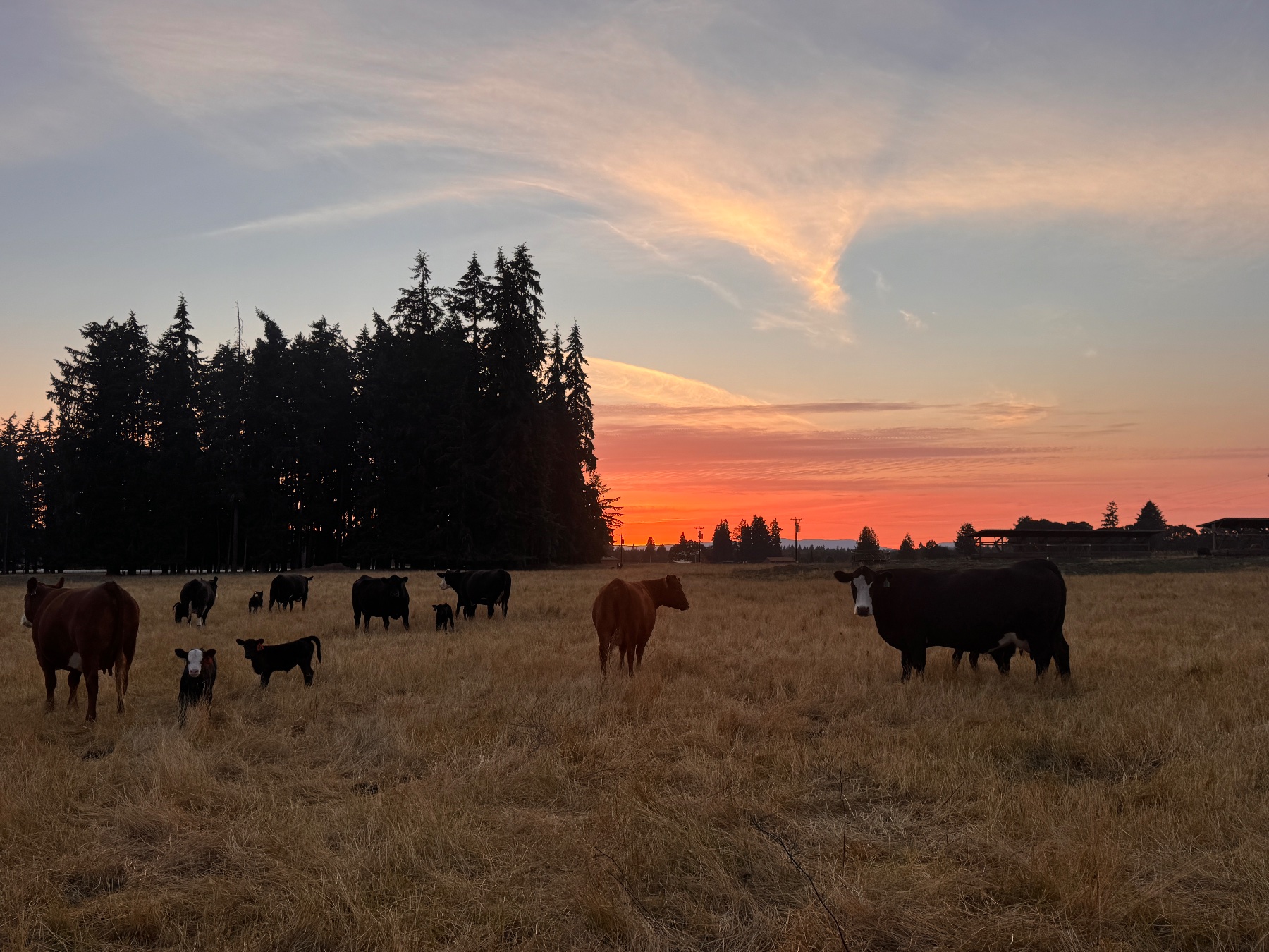 Riverbrook Ranch — Tenino, WA