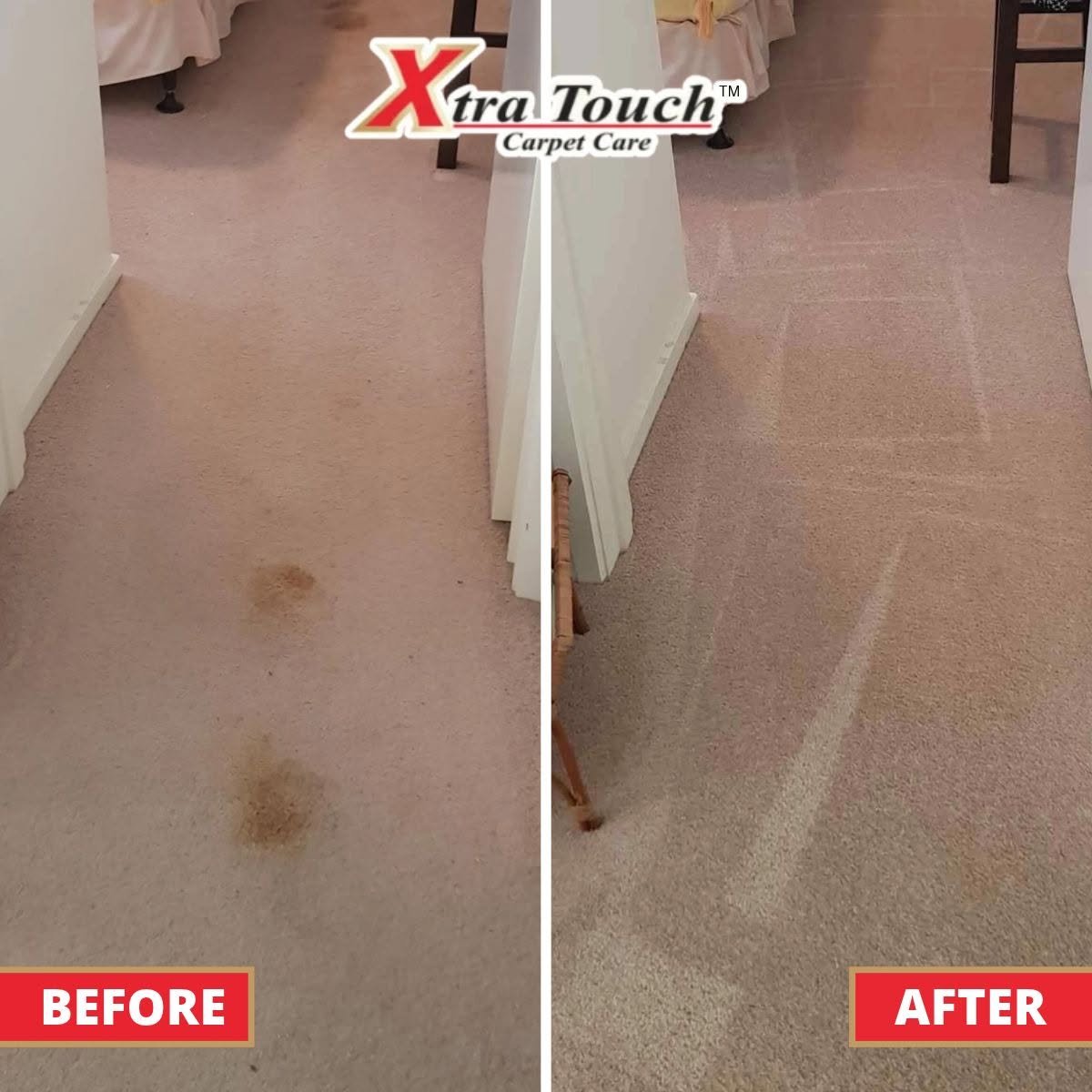 Xtra Touch Carpet Care project photo 2