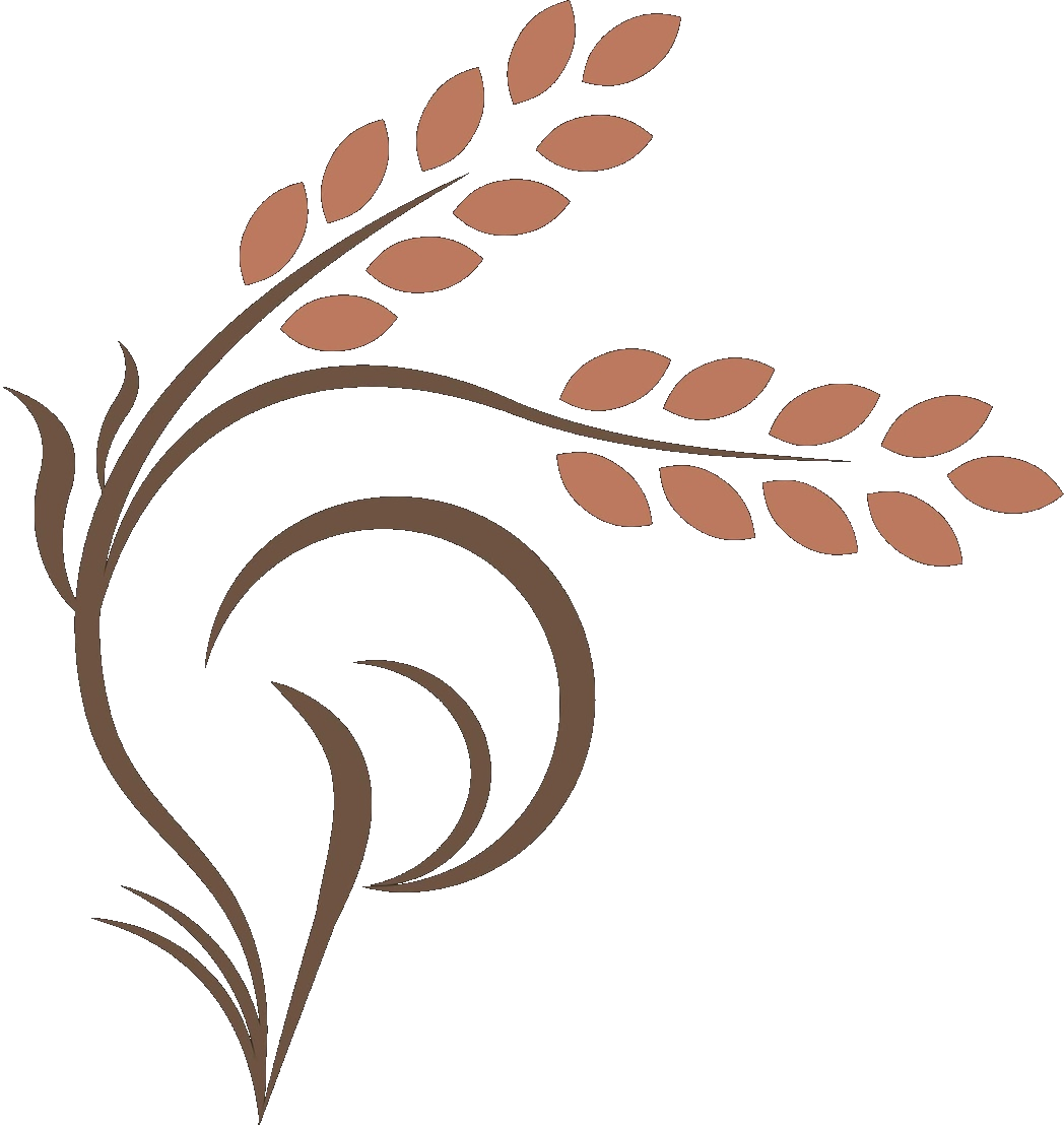 Palay Consulting logo