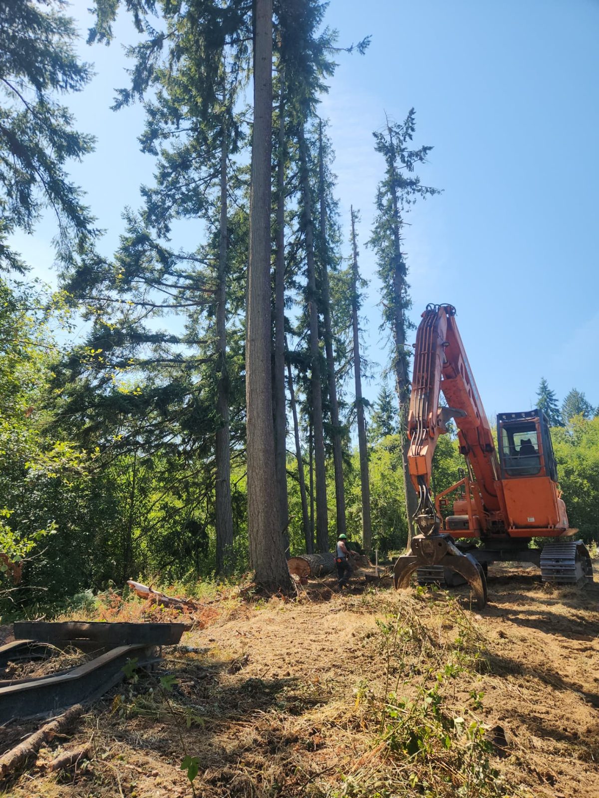 T & S Reed Logging project 8