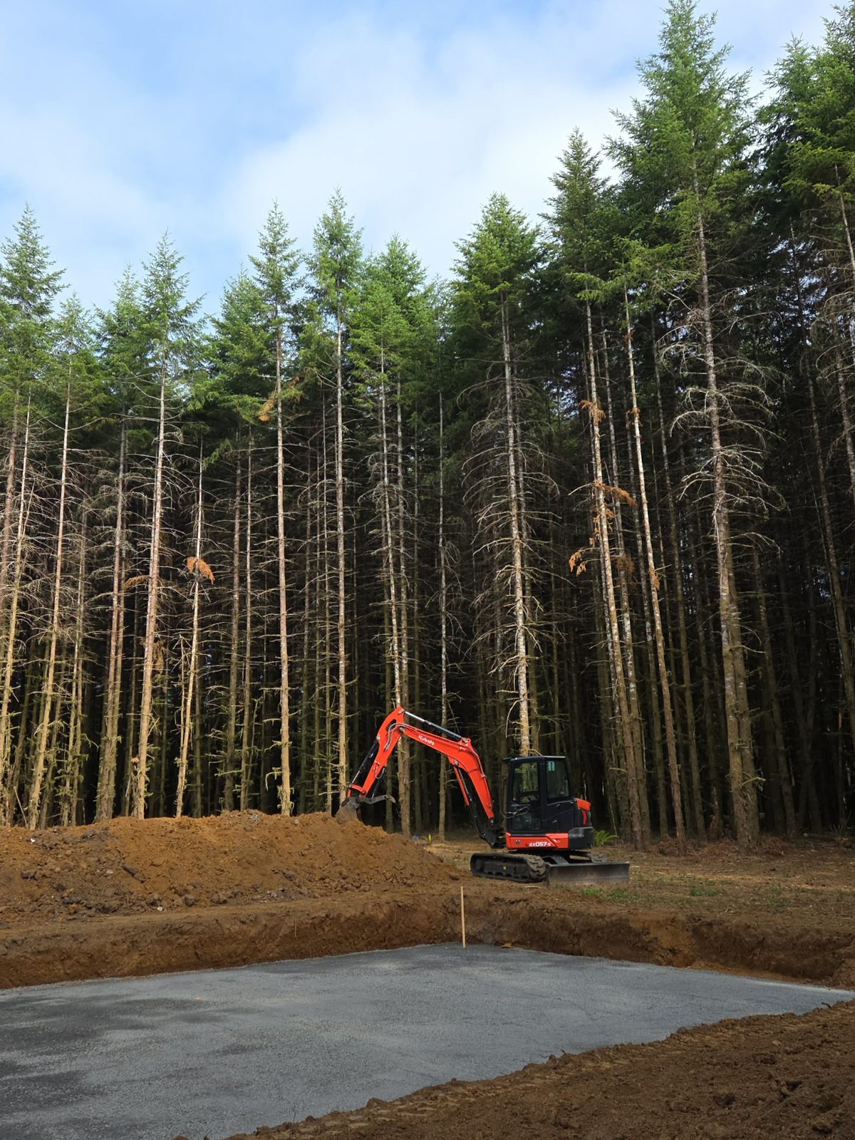 T & S Reed Logging project 12