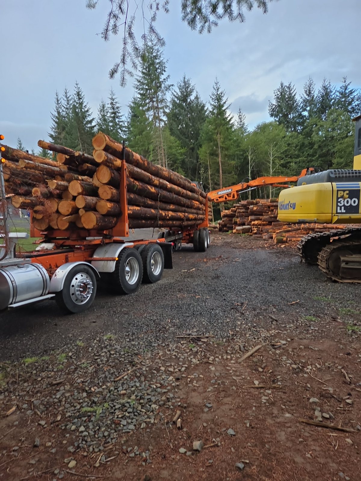 T & S Reed Logging project 2