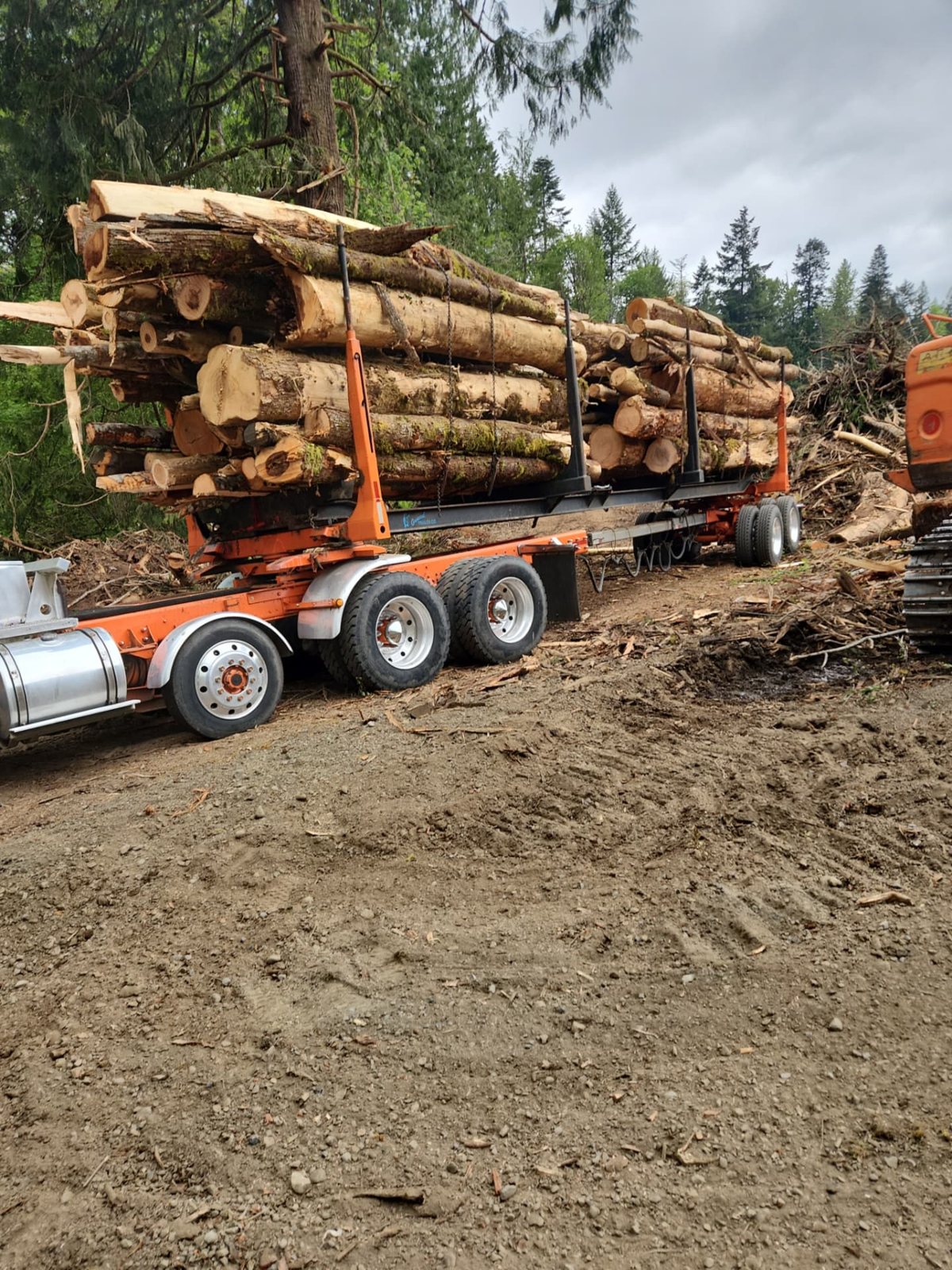 T & S Reed Logging project 3