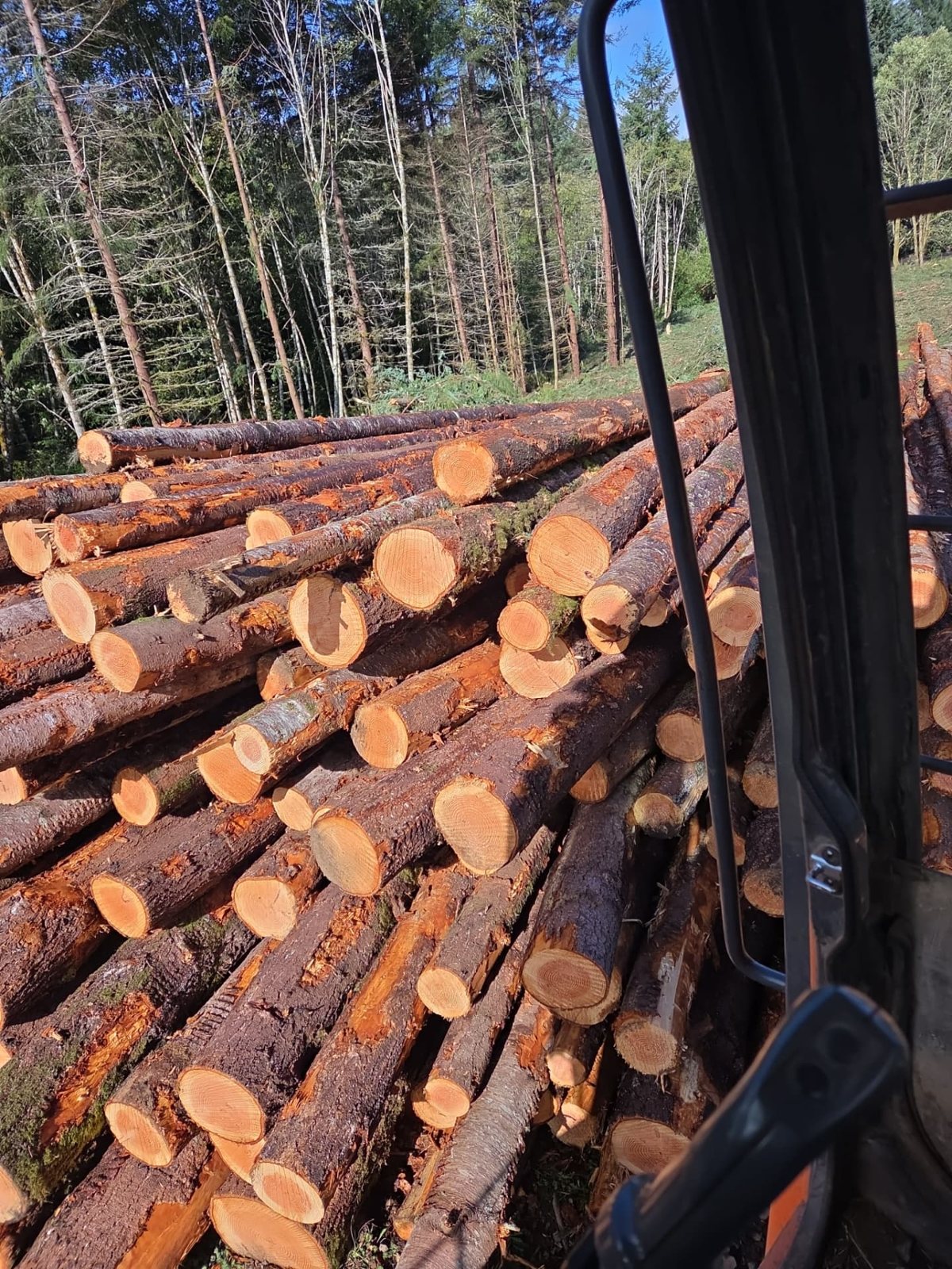 T & S Reed Logging project 4