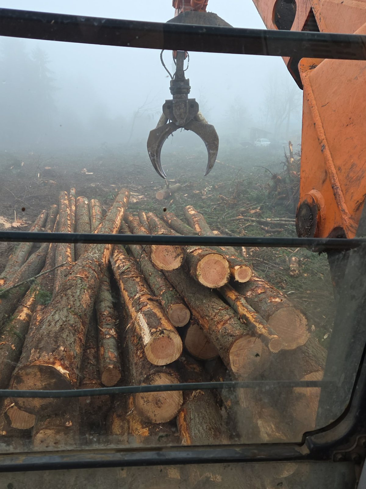 T & S Reed Logging project 6
