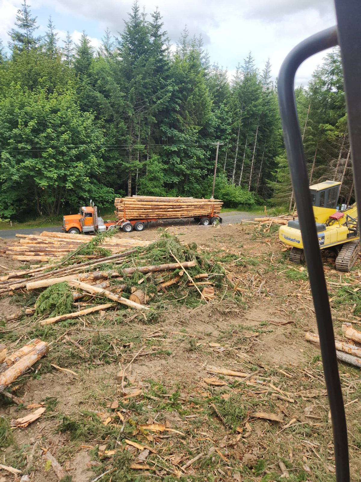 T & S Reed Logging project 7