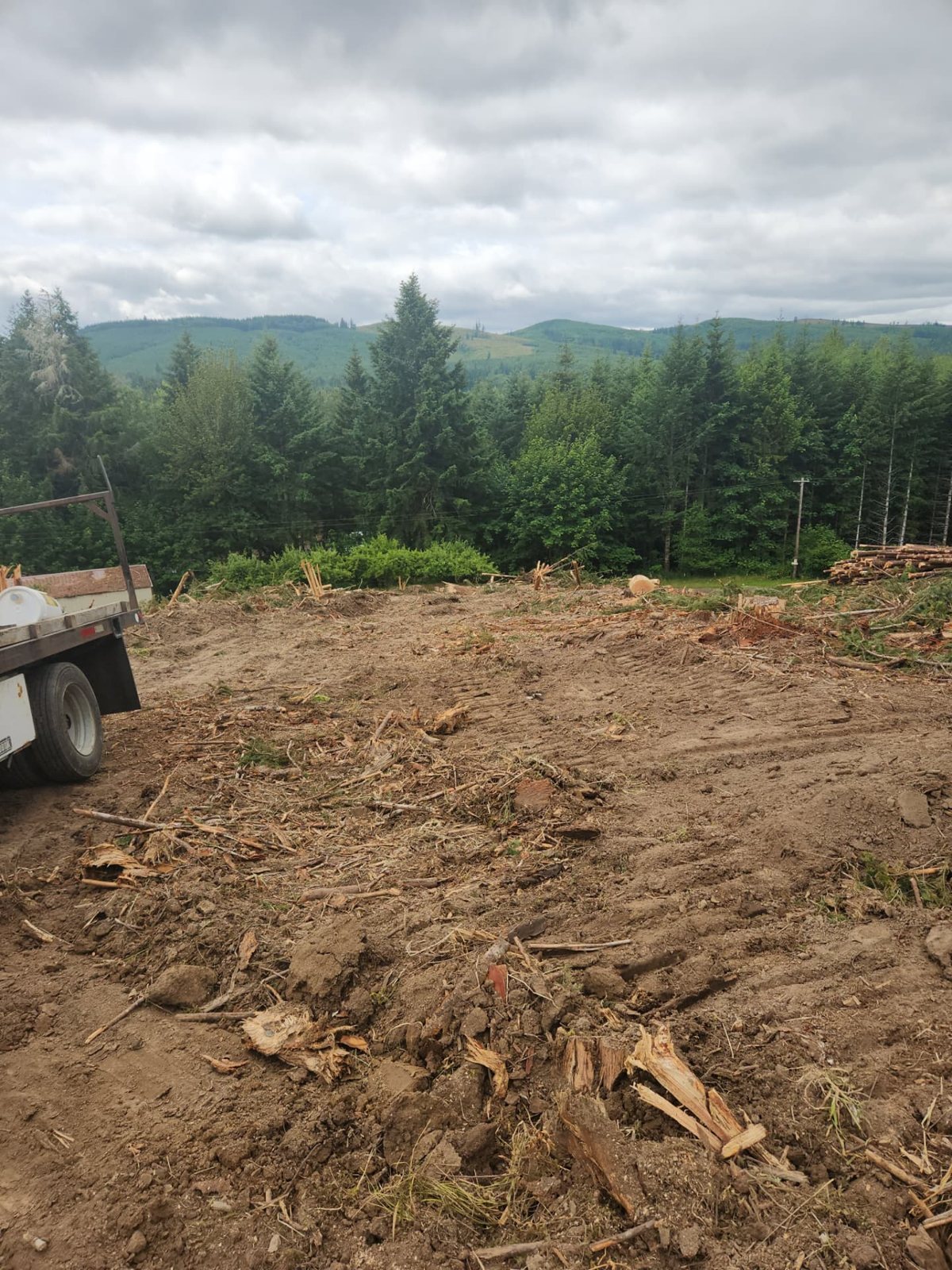 T & S Reed Logging project 10