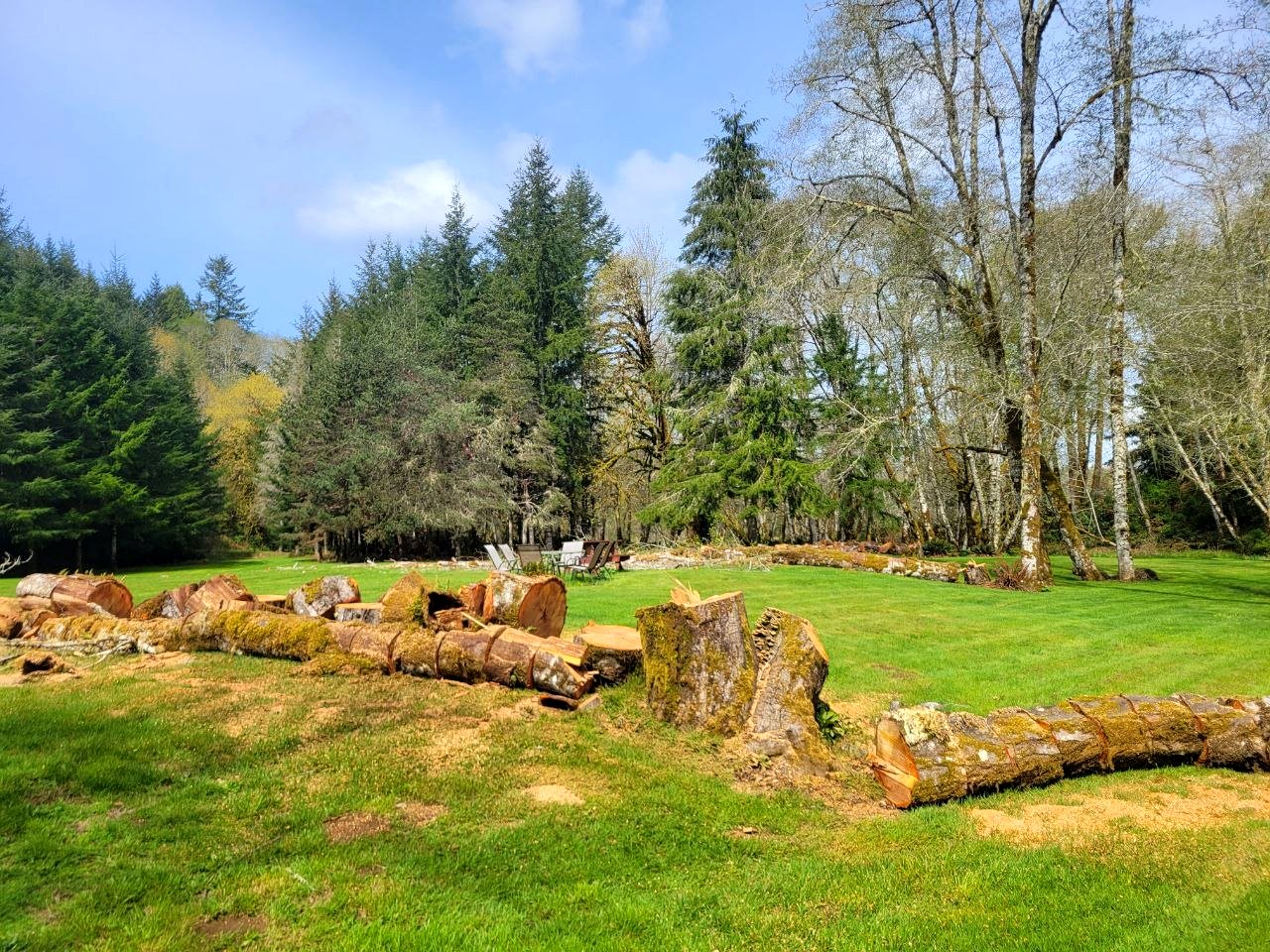 West Coast Tree Pros project photo 13