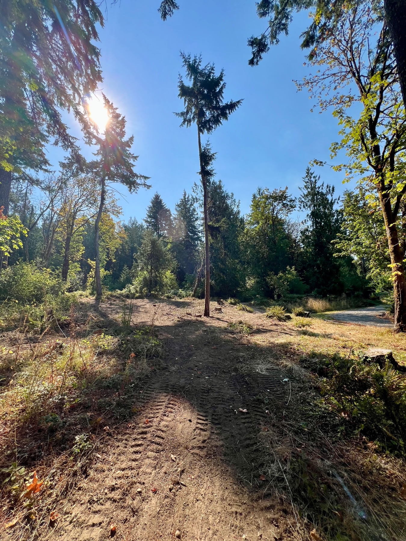 Maxin Earthworks project photo 4