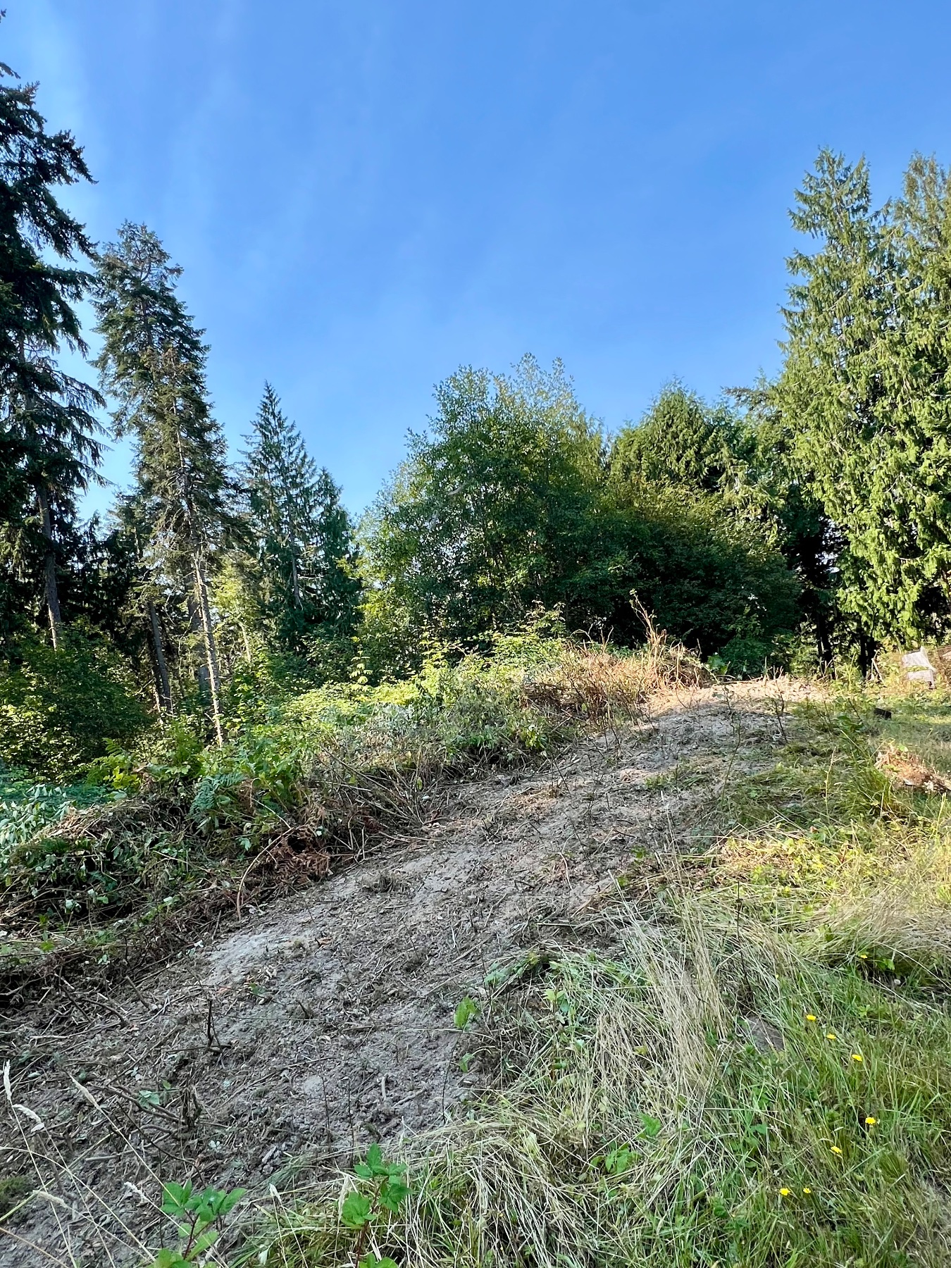 Maxin Earthworks project photo 7