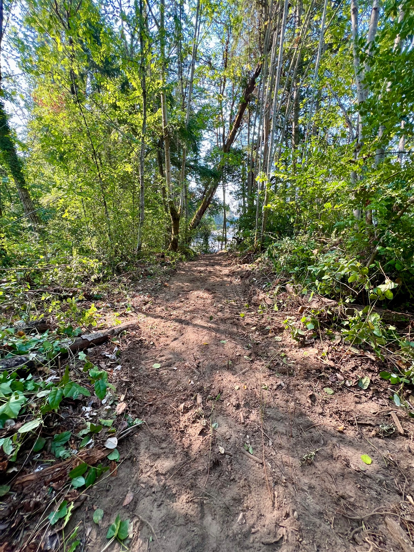 Maxin Earthworks project photo 9