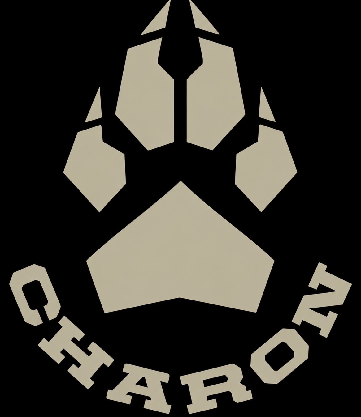 Charon Solutions project work