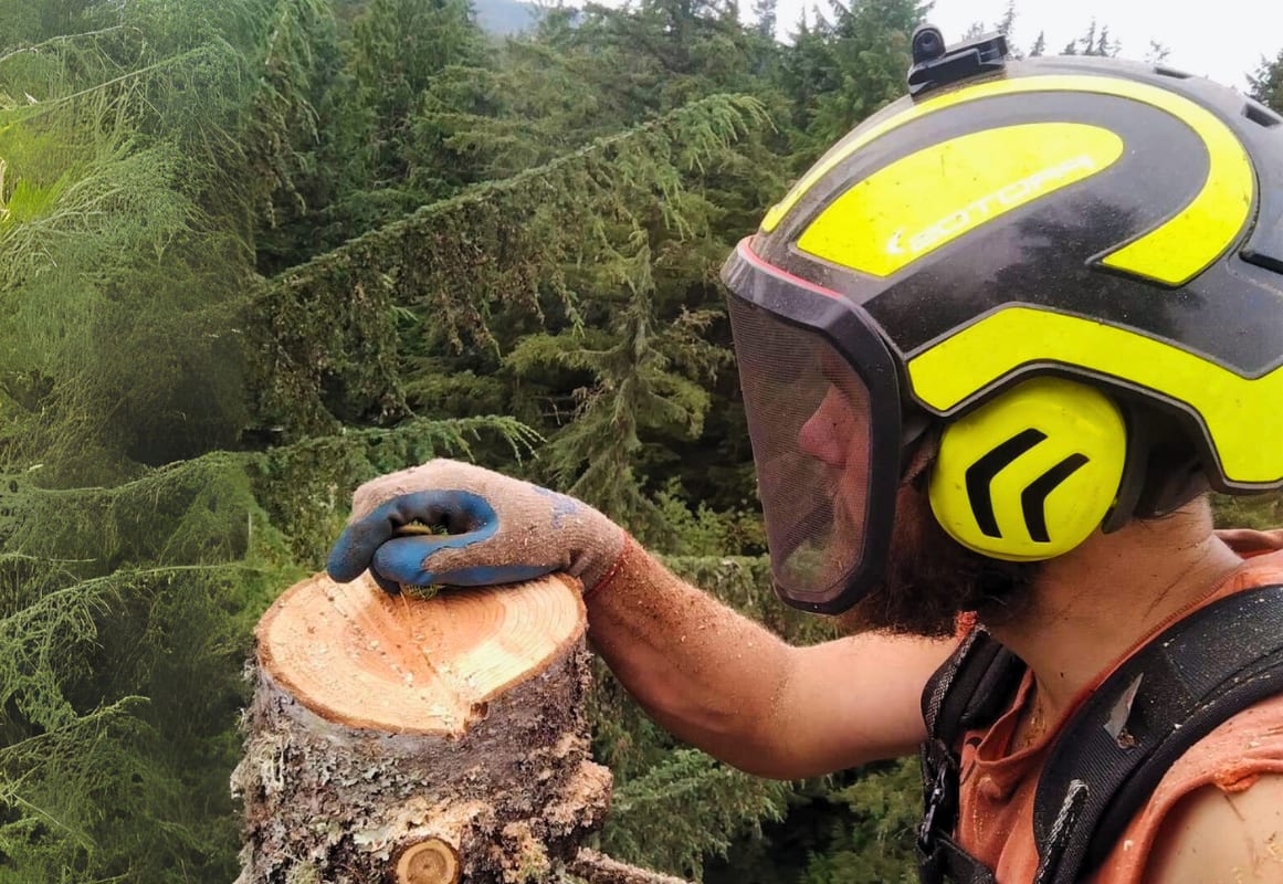 AJ’s Tree Experts, LLC project 5