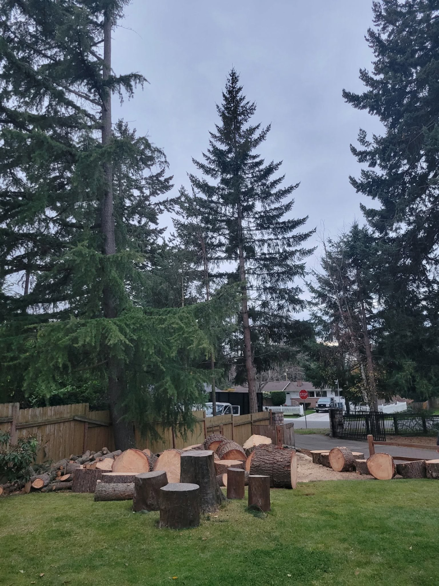 AJ’s Tree Experts, LLC project photo 9