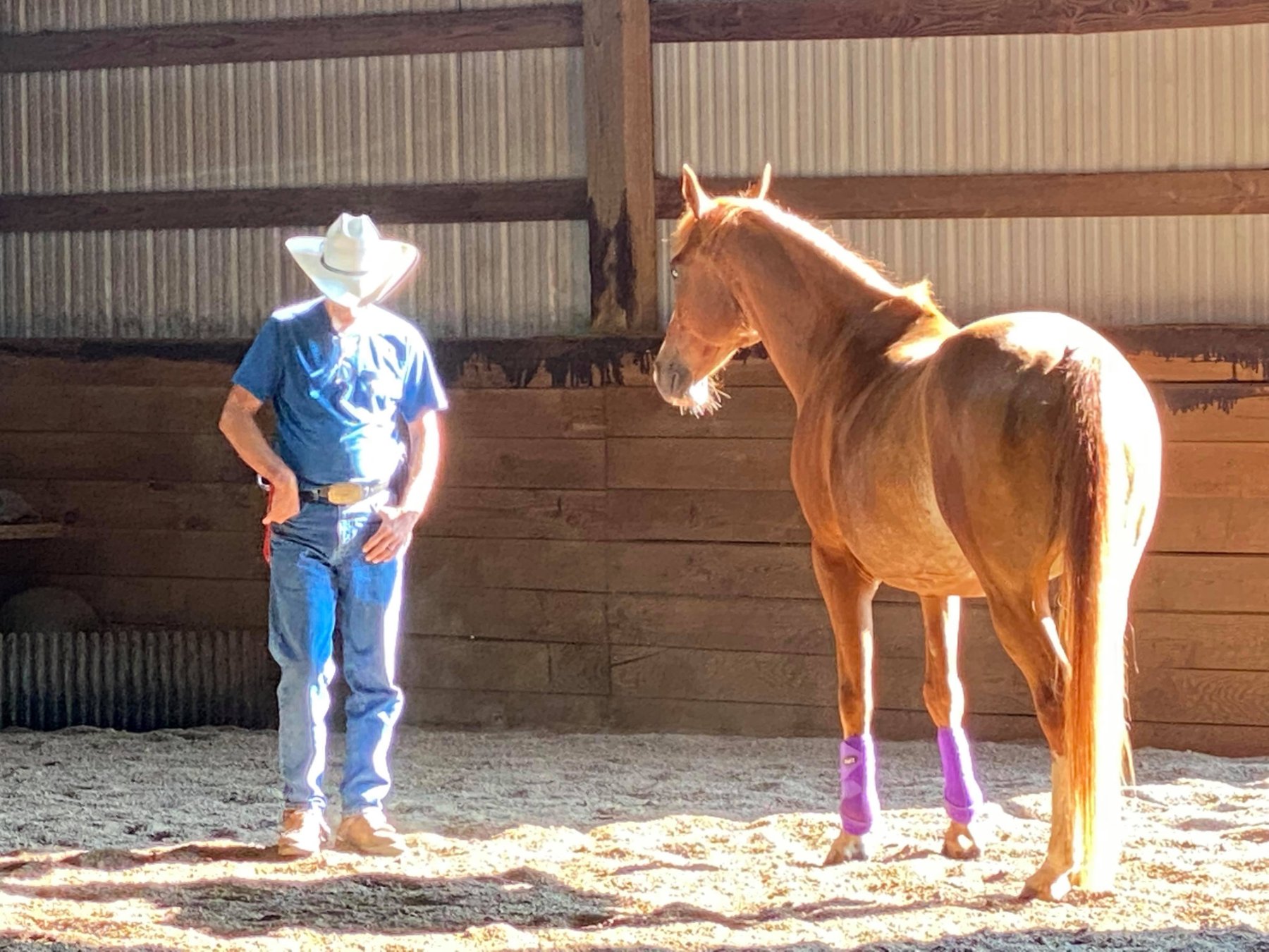 Full Circle Equine Leadership Foundation — Brightwood, OR