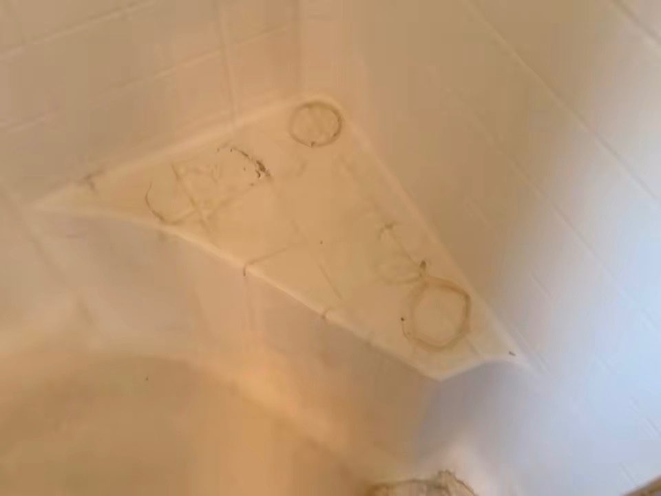 Merriweather Cleaning project photo 4