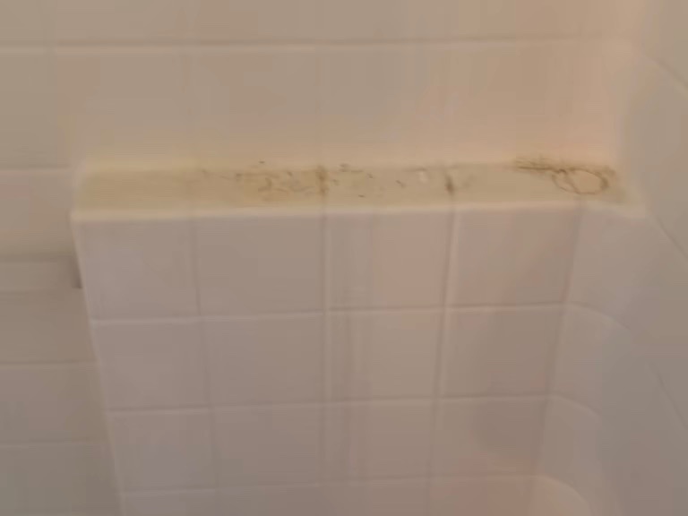 Merriweather Cleaning project photo 5