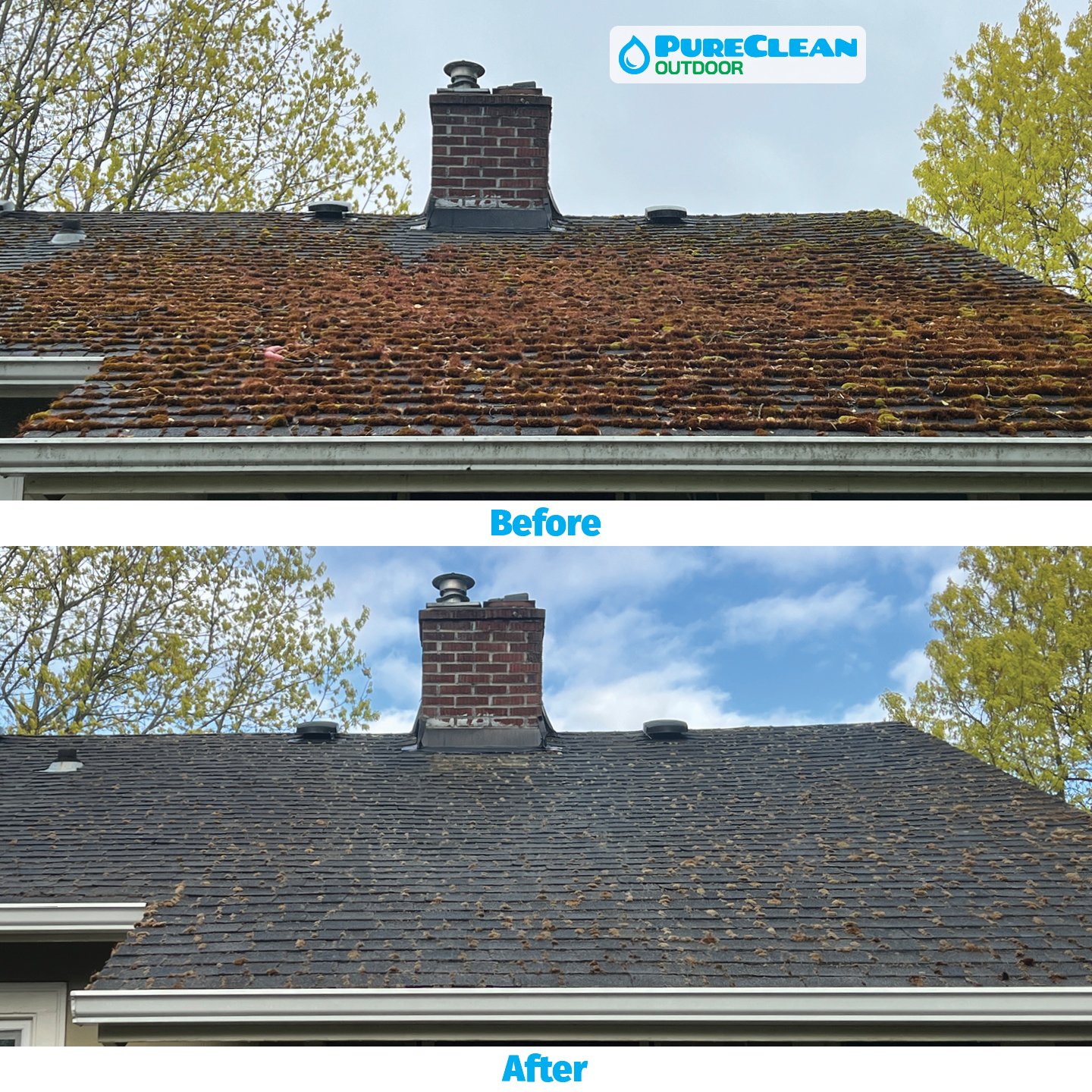 PureClean Outdoor project photo 1