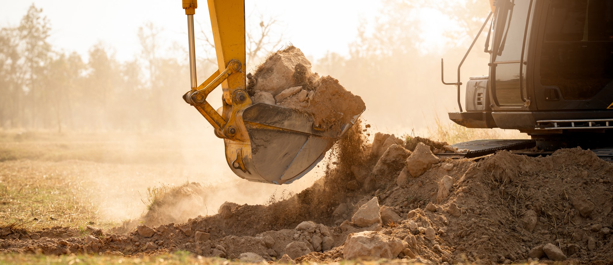 Night and Day Land Clearing project photo 5
