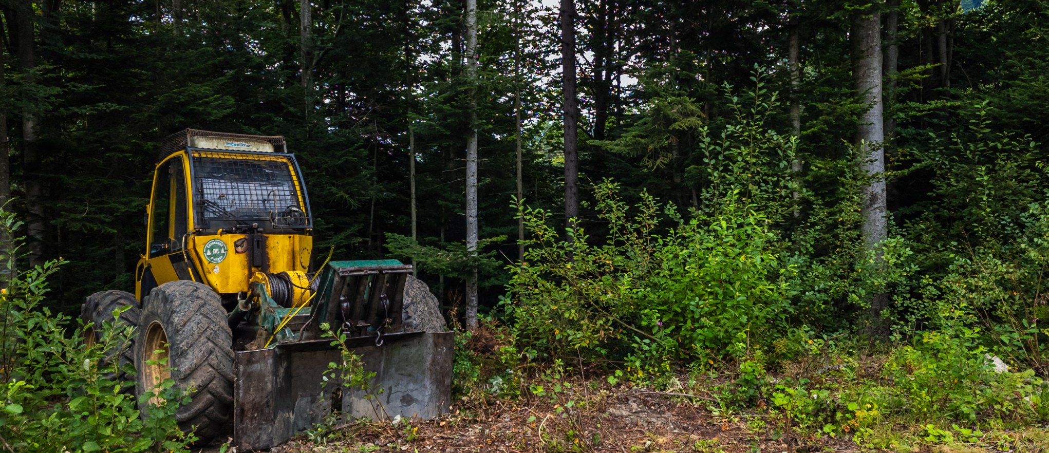 Night and Day Land Clearing project photo 1