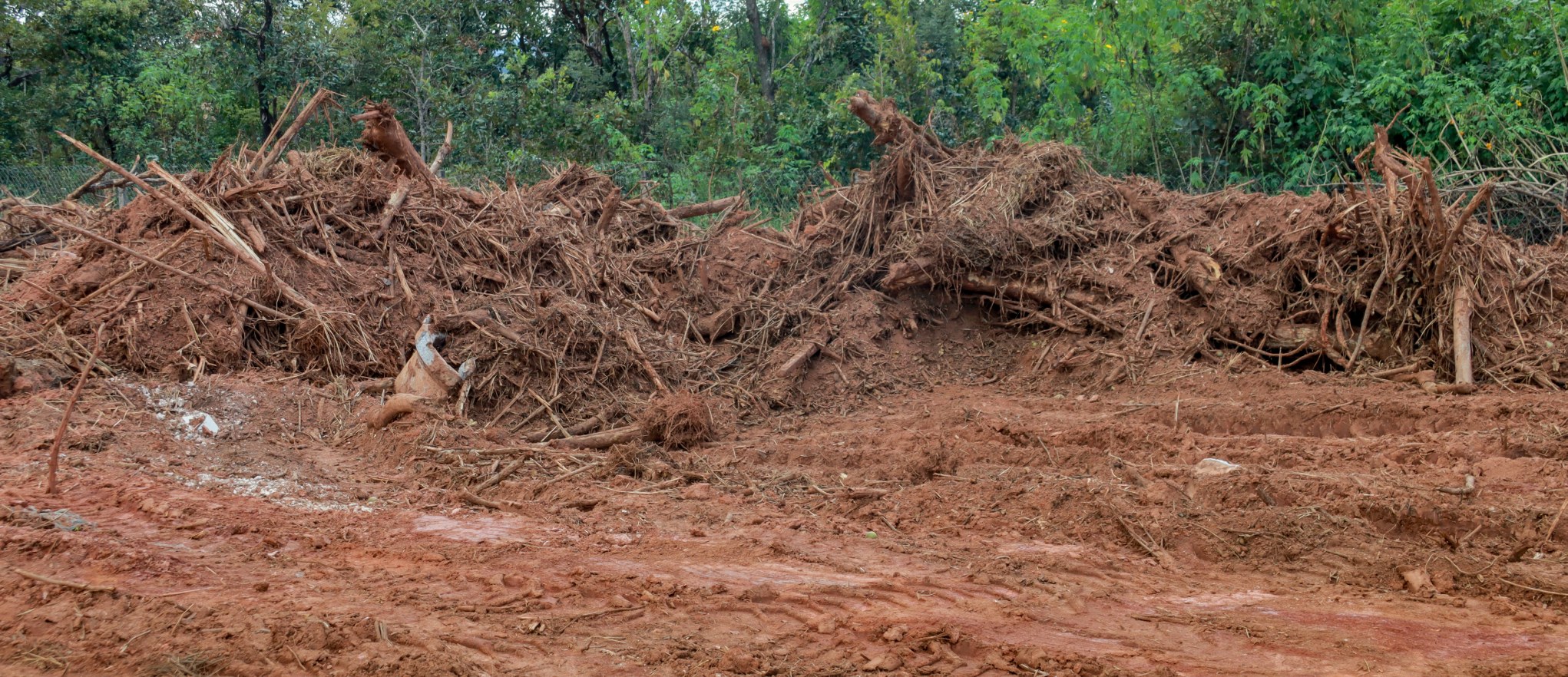 Night and Day Land Clearing — Scio, OR