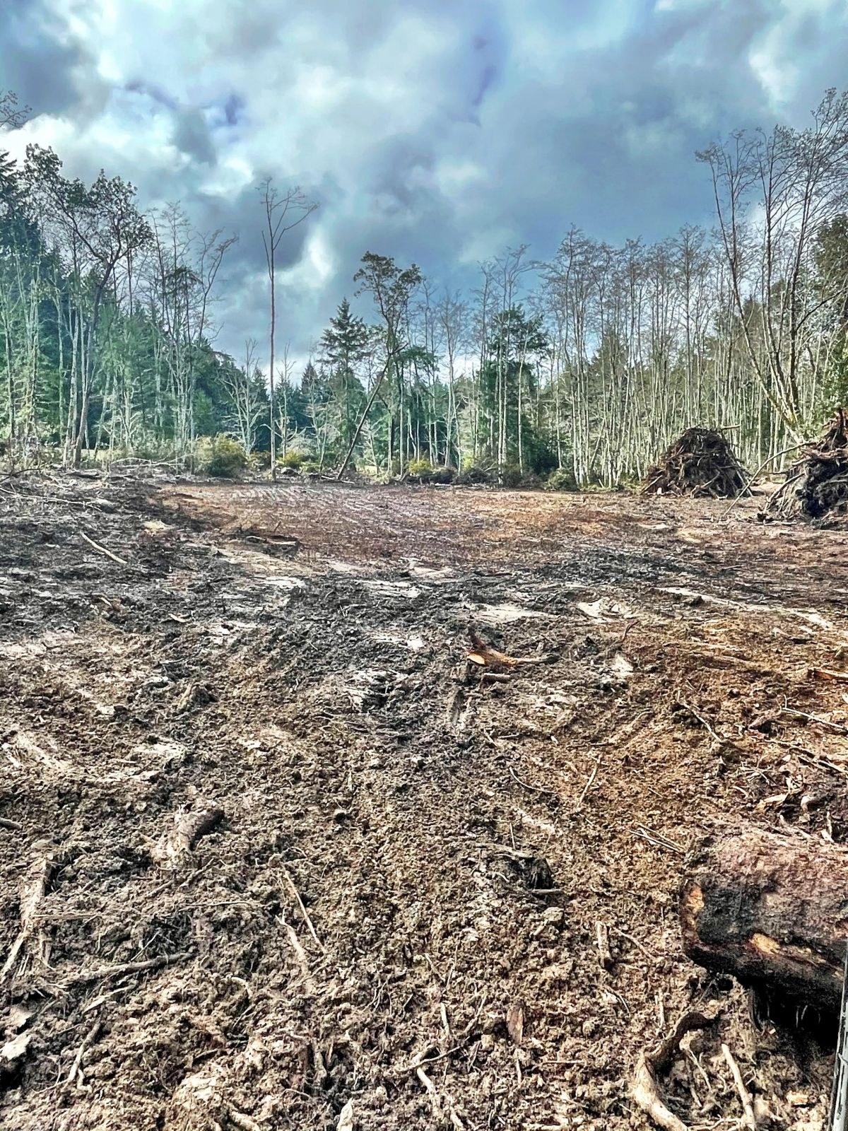 Justice Logging & Excavation project photo 11