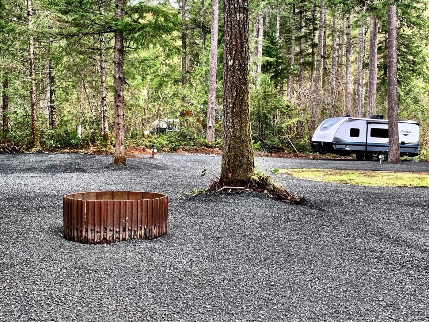 Justice Logging & Excavation project photo 6