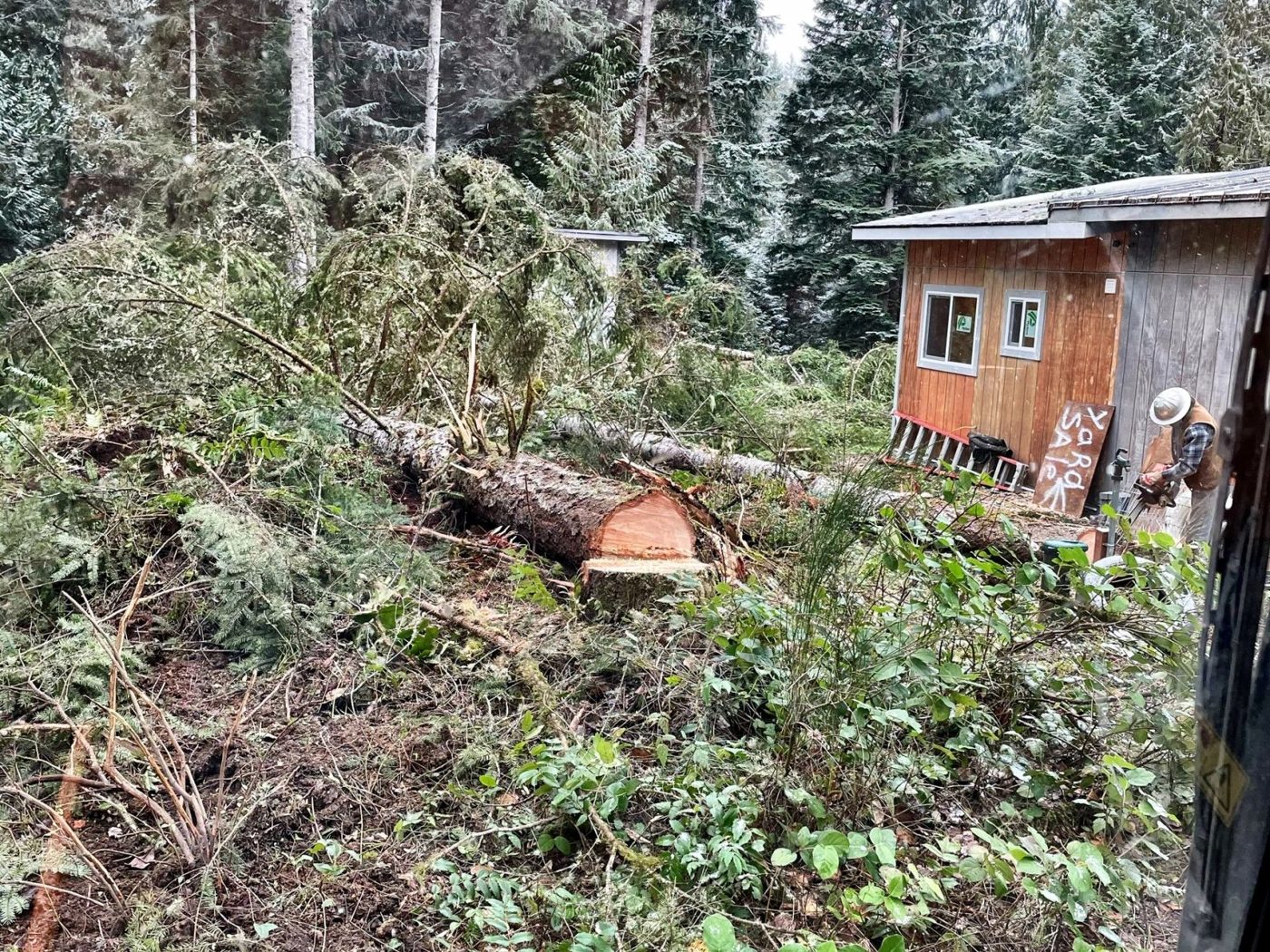 Justice Logging & Excavation project photo 2
