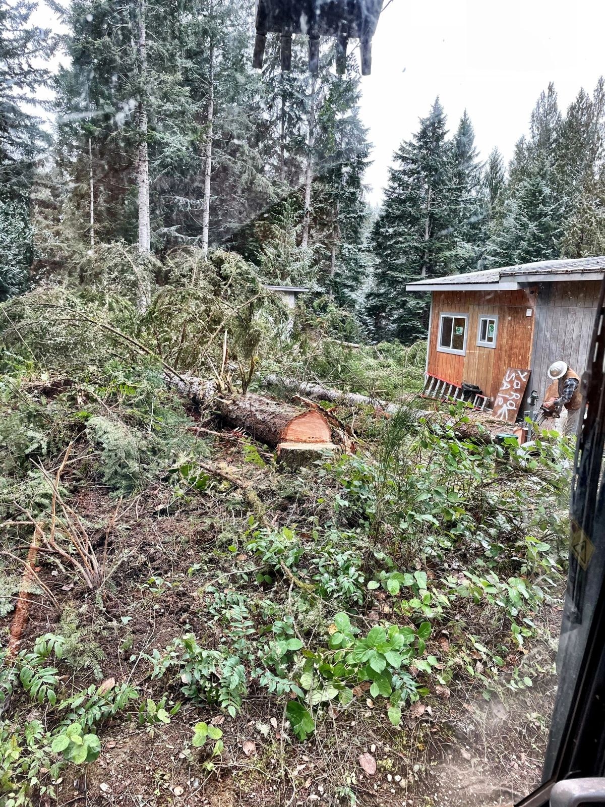 Justice Logging & Excavation project photo 10
