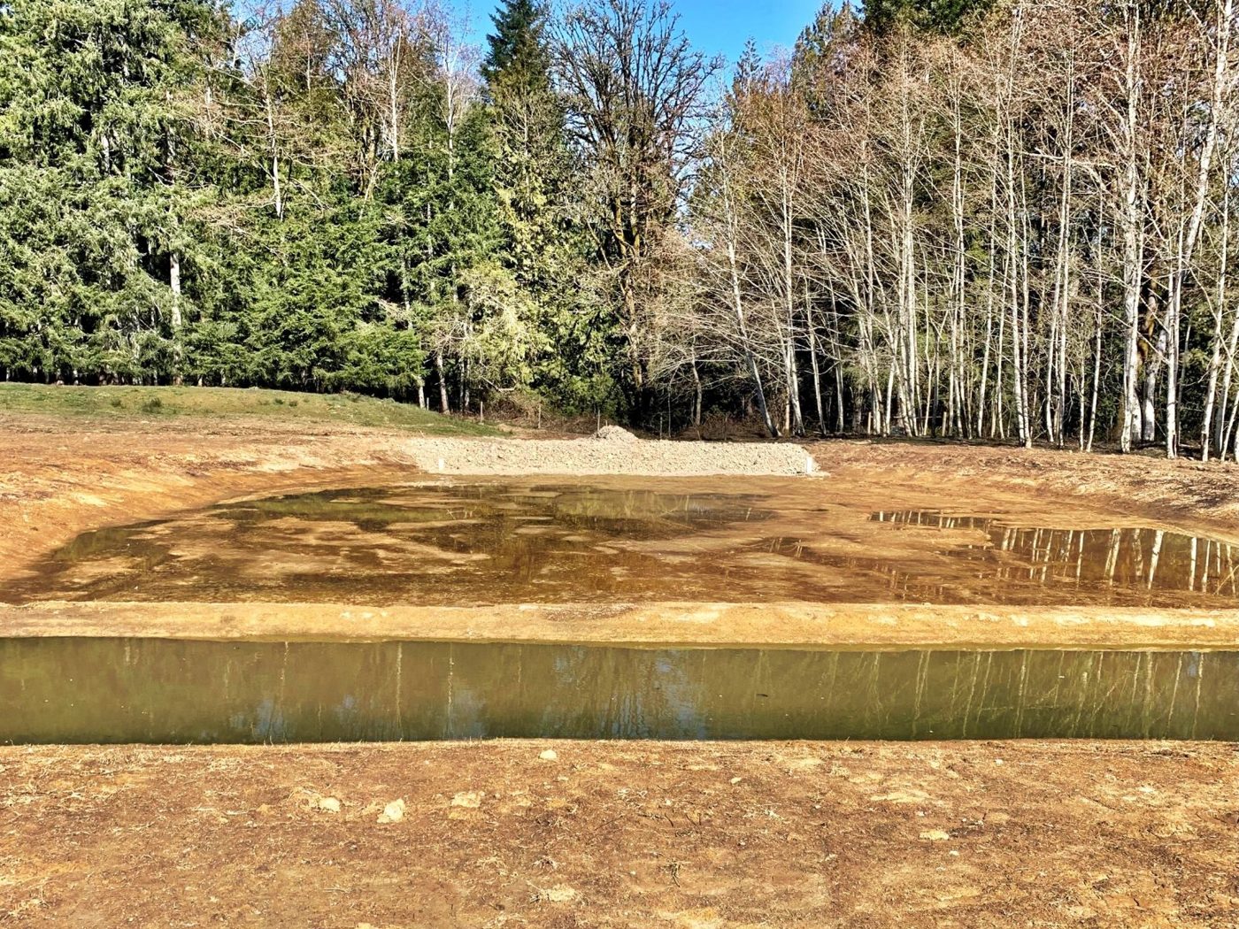 Justice Logging & Excavation project photo 4