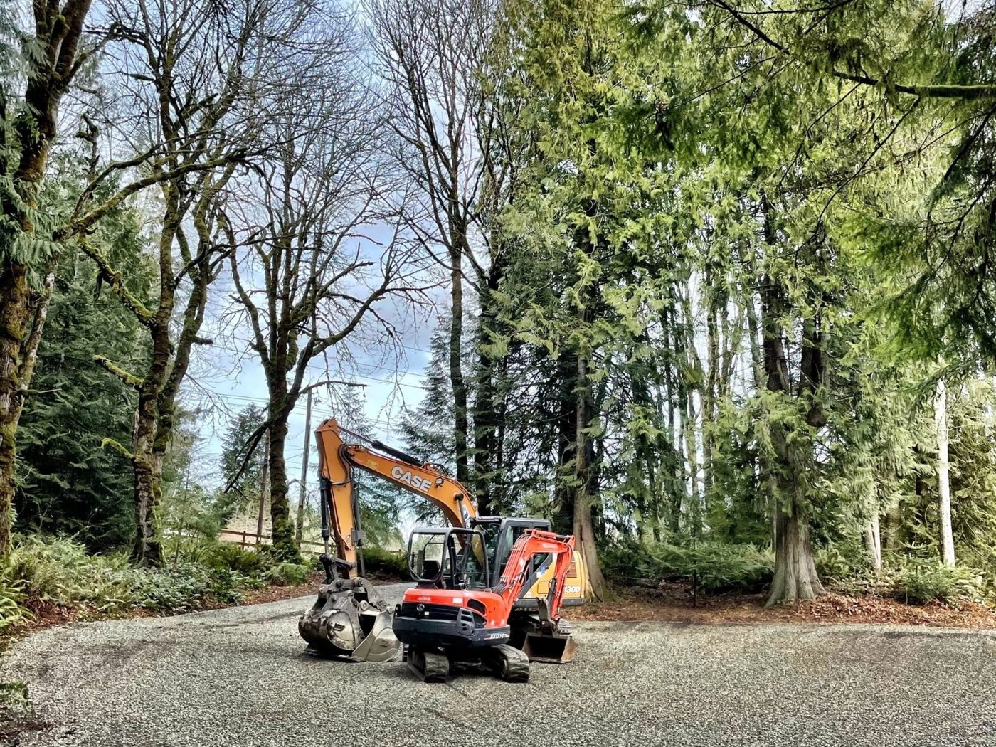Justice Logging & Excavation project photo 8