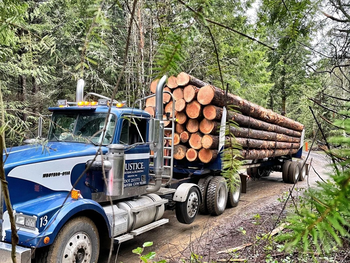 Justice Logging & Excavation